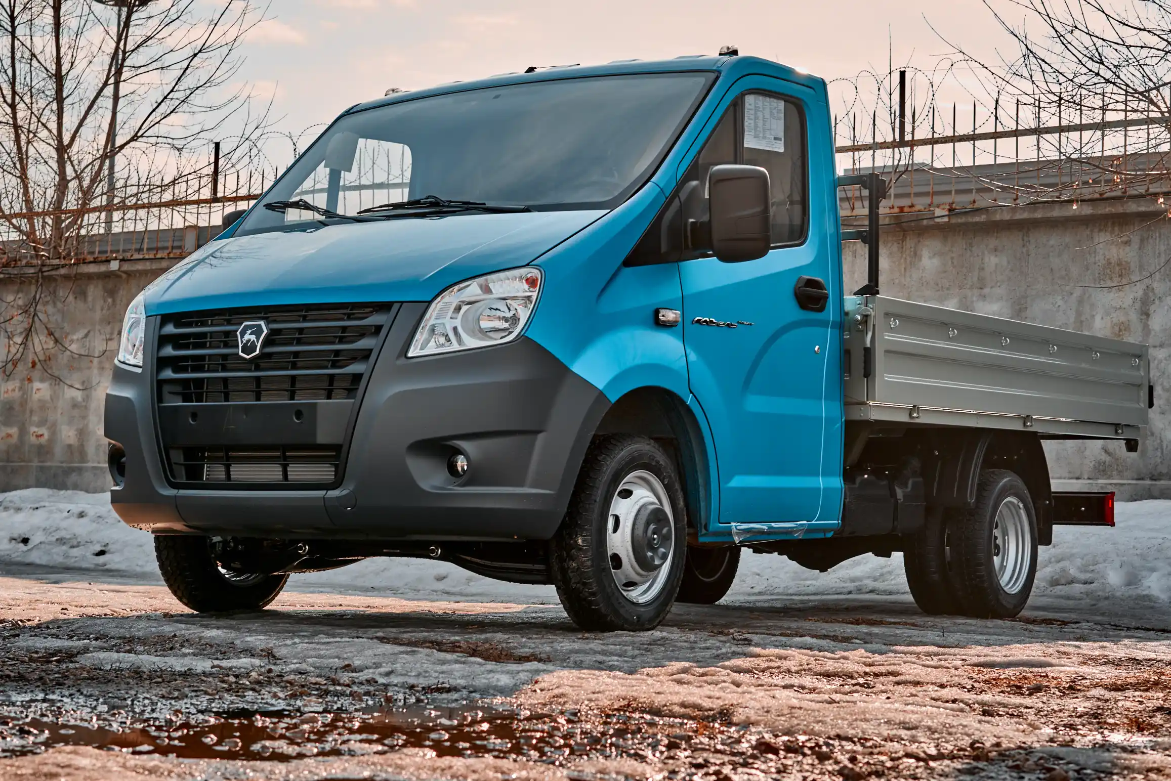 Gazelle NEXT Bort 03